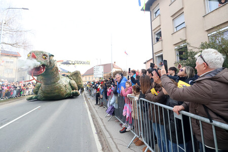 ZLATA POROKA PUSTNI KARNEVAL 71 FOTO LJUBO VUKELIČ